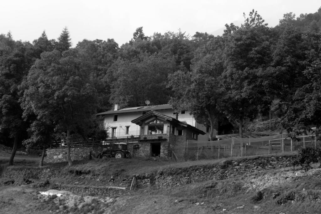 Locanda Il Campo Della Quercia San Damiano Macra Kültér fotó